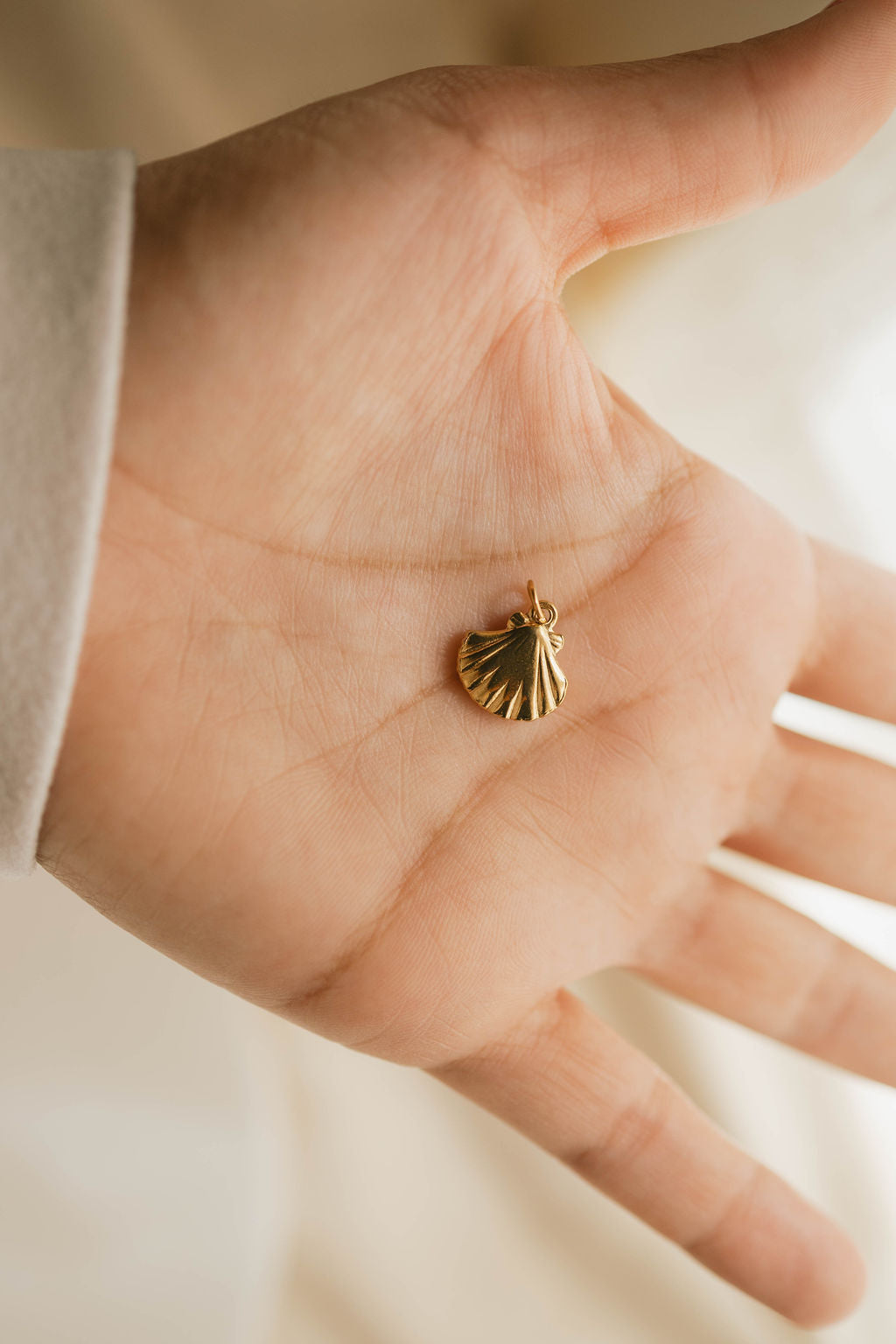 THE SEASHELL