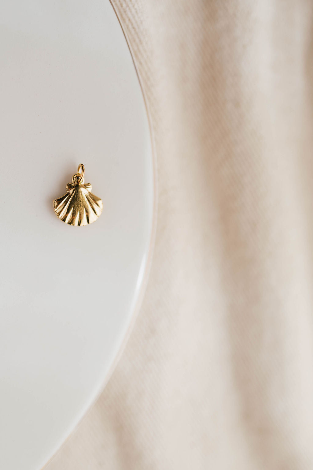THE SEASHELL