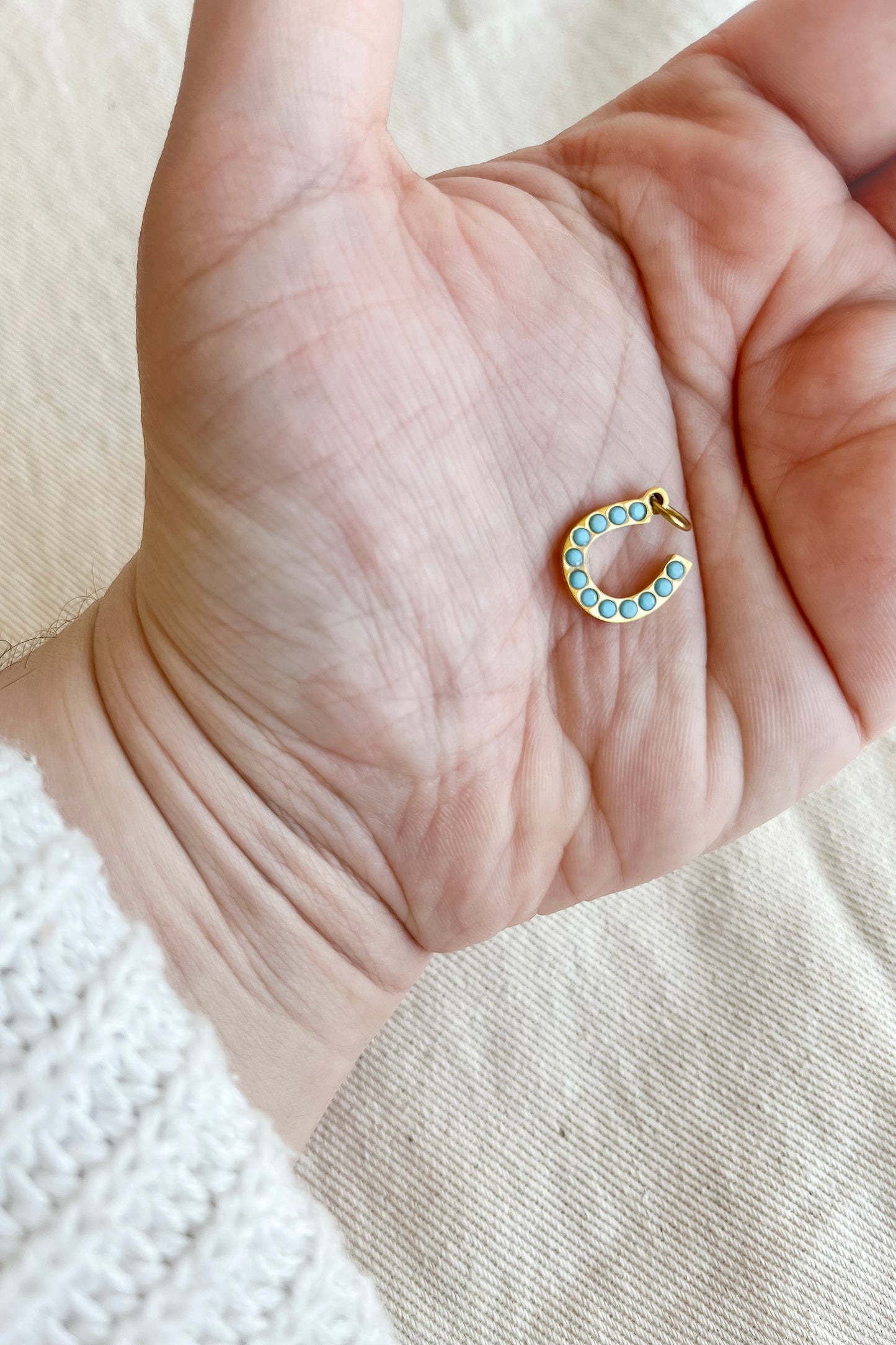 THE TURQUOISE HORSESHOE