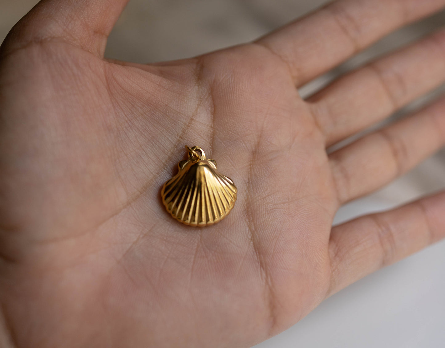 THE LARGE SCALLOP SHELL