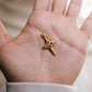 THE NORTH STAR