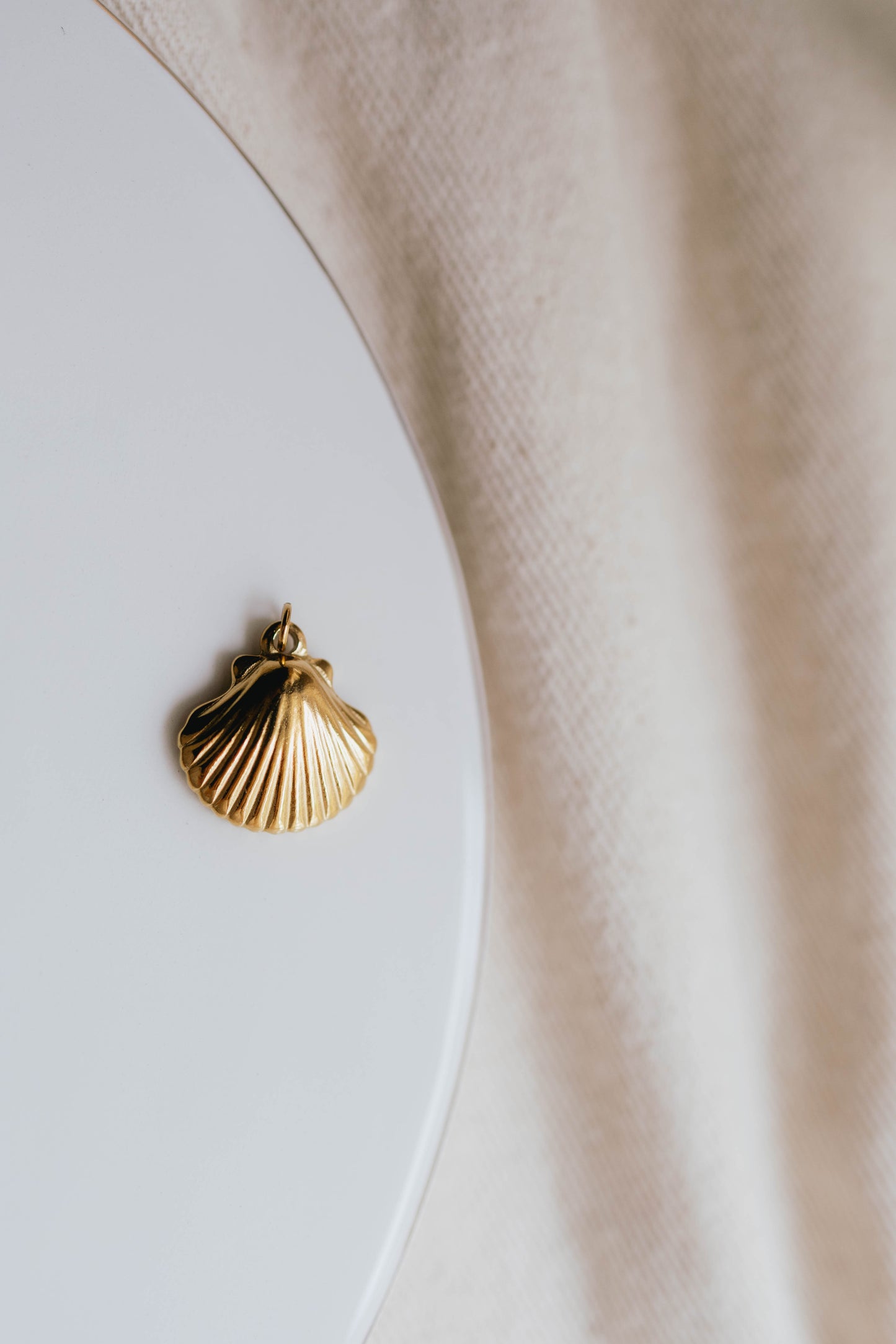 THE LARGE SCALLOP SHELL