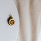 THE LARGE SPIRAL SHELL