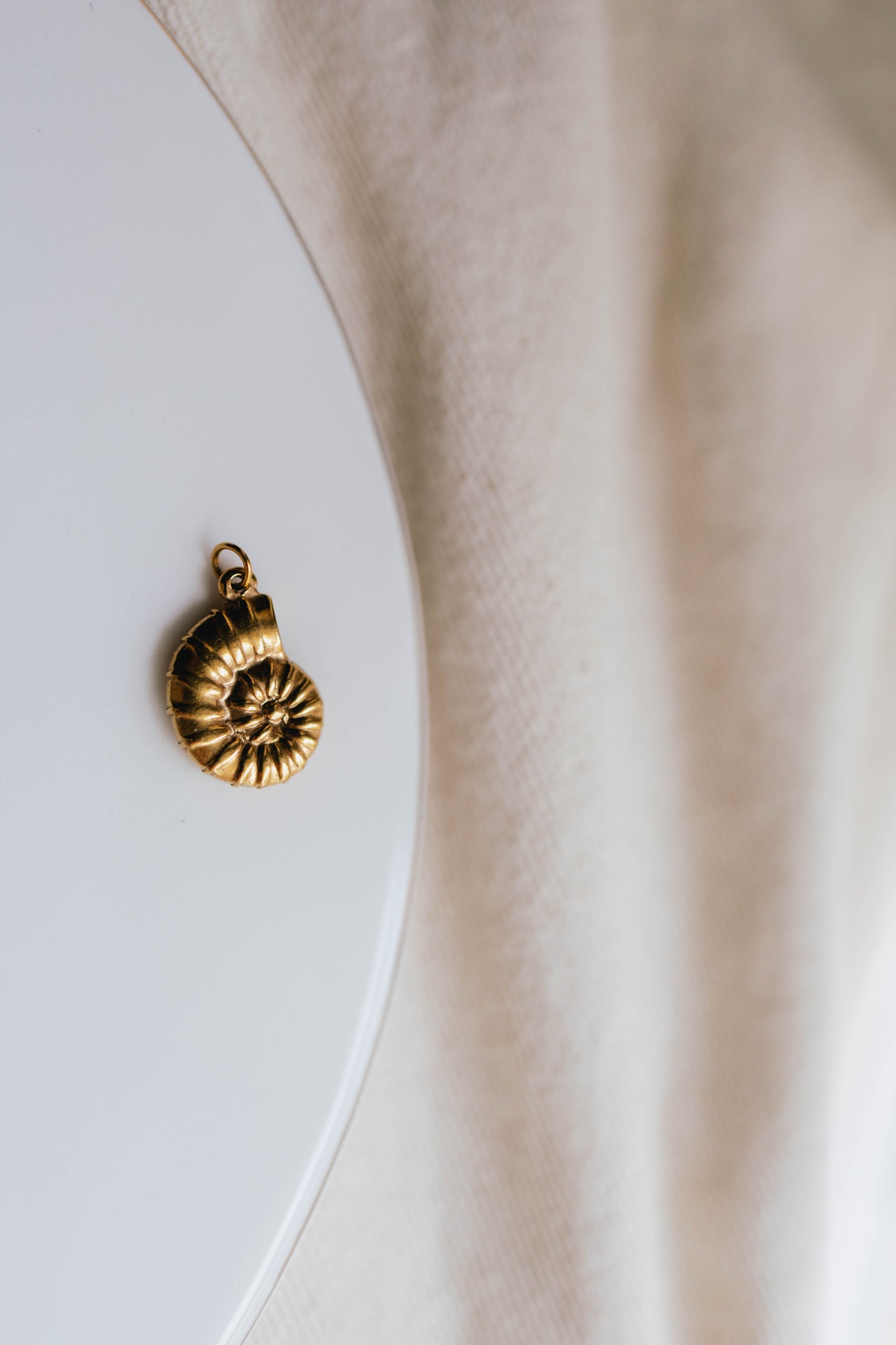 THE LARGE SPIRAL SHELL