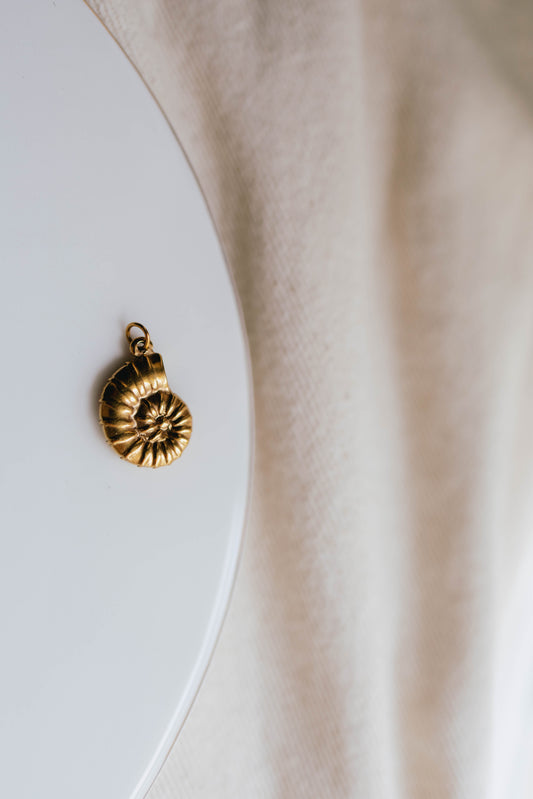 THE LARGE SPIRAL SHELL