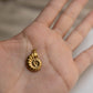 THE LARGE SPIRAL SHELL