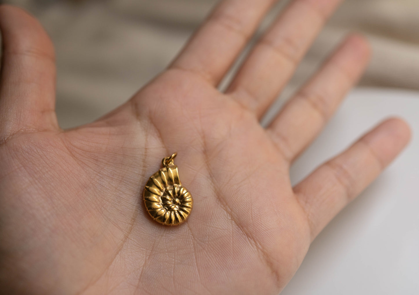 THE LARGE SPIRAL SHELL